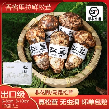 松茸