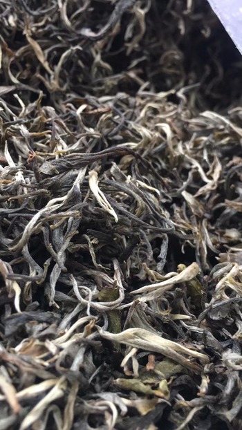 临沧古树茶