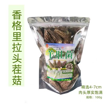 羊肚菌