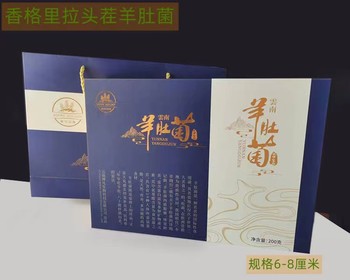 羊肚菌